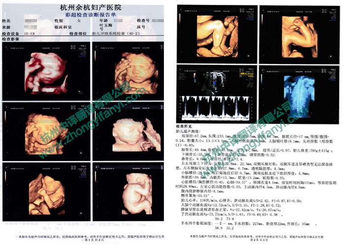 嬰兒多普勒彩照B超單中譯英翻譯件模板及注意事項.jpg