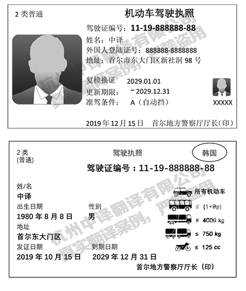韓國(guó)駕照最新版翻譯件模板-杭州中譯翻譯公司